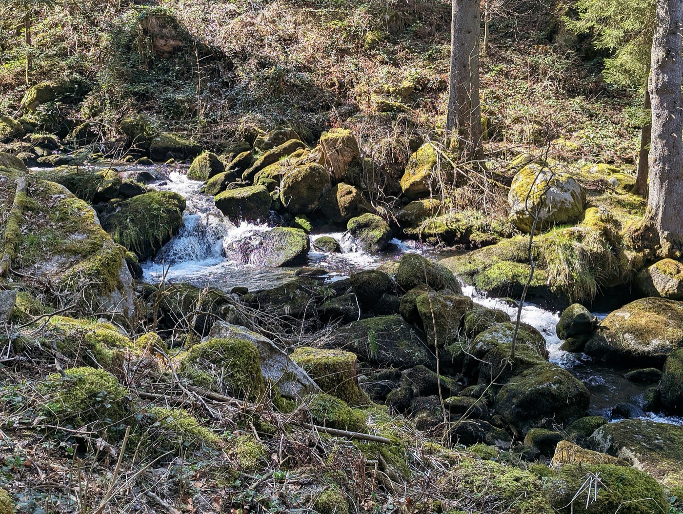Schwarzwald