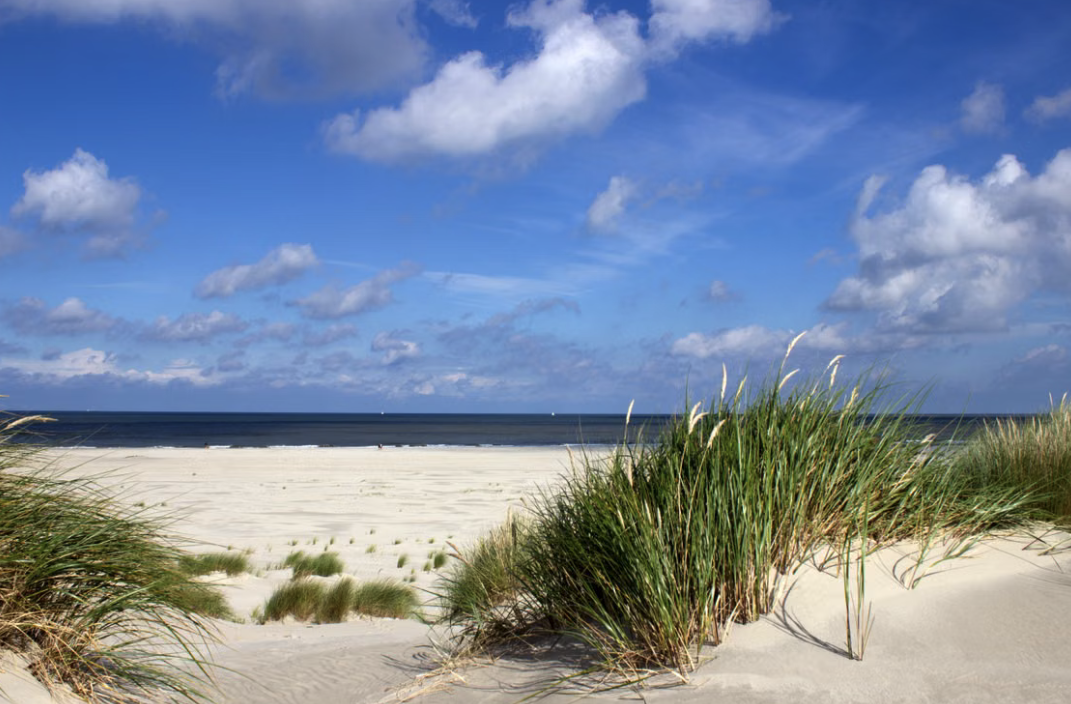Ein Tag wie im Bilderbuch: So fühlt sich dein Urlaub in der Nordsee-Ferienwohnung an