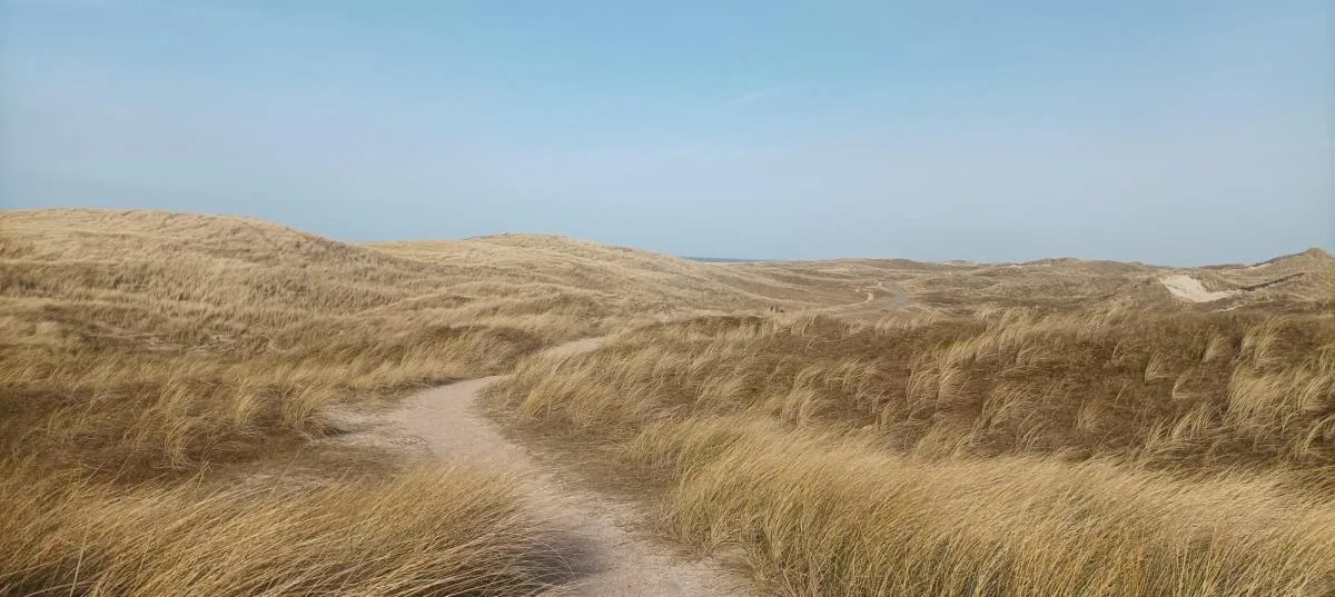PiMa aan Zee