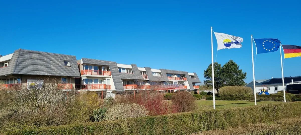 Friedrichs 33