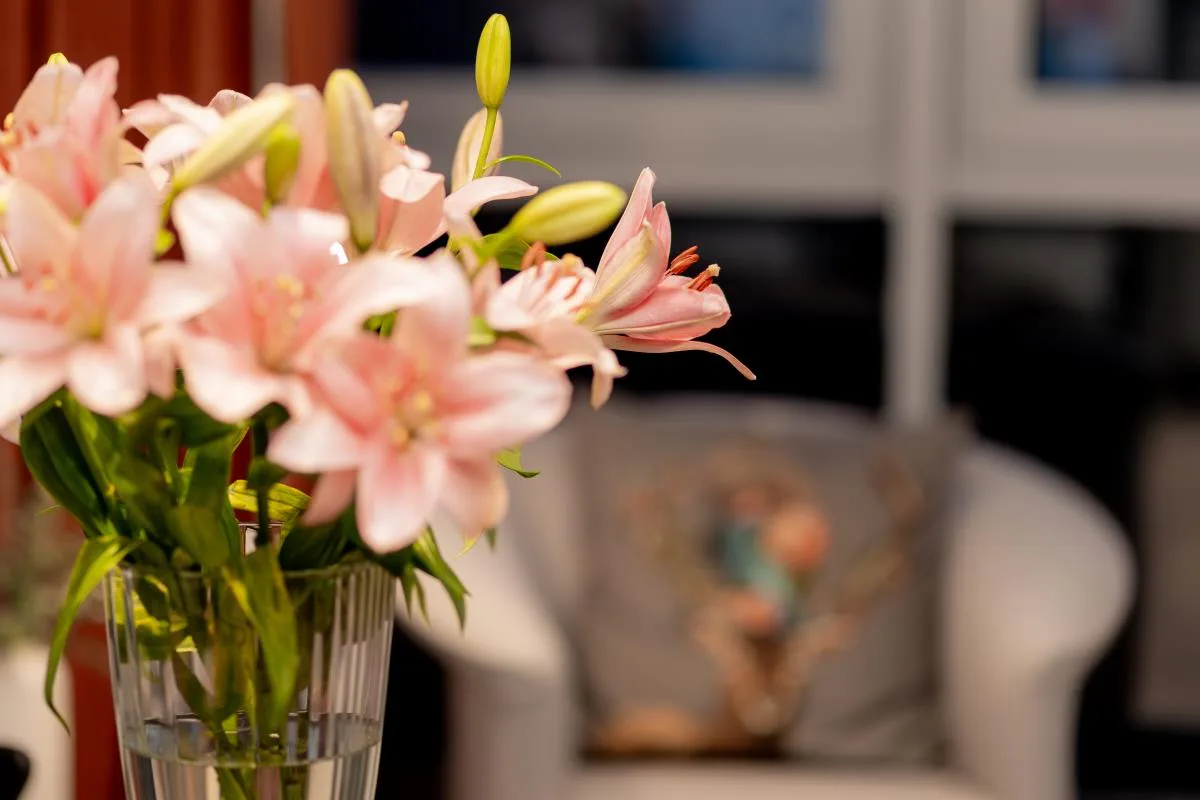 Liesel´s Loft - City Appartement