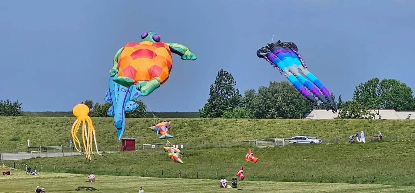 Grommy´s Ferienhaus Tossens