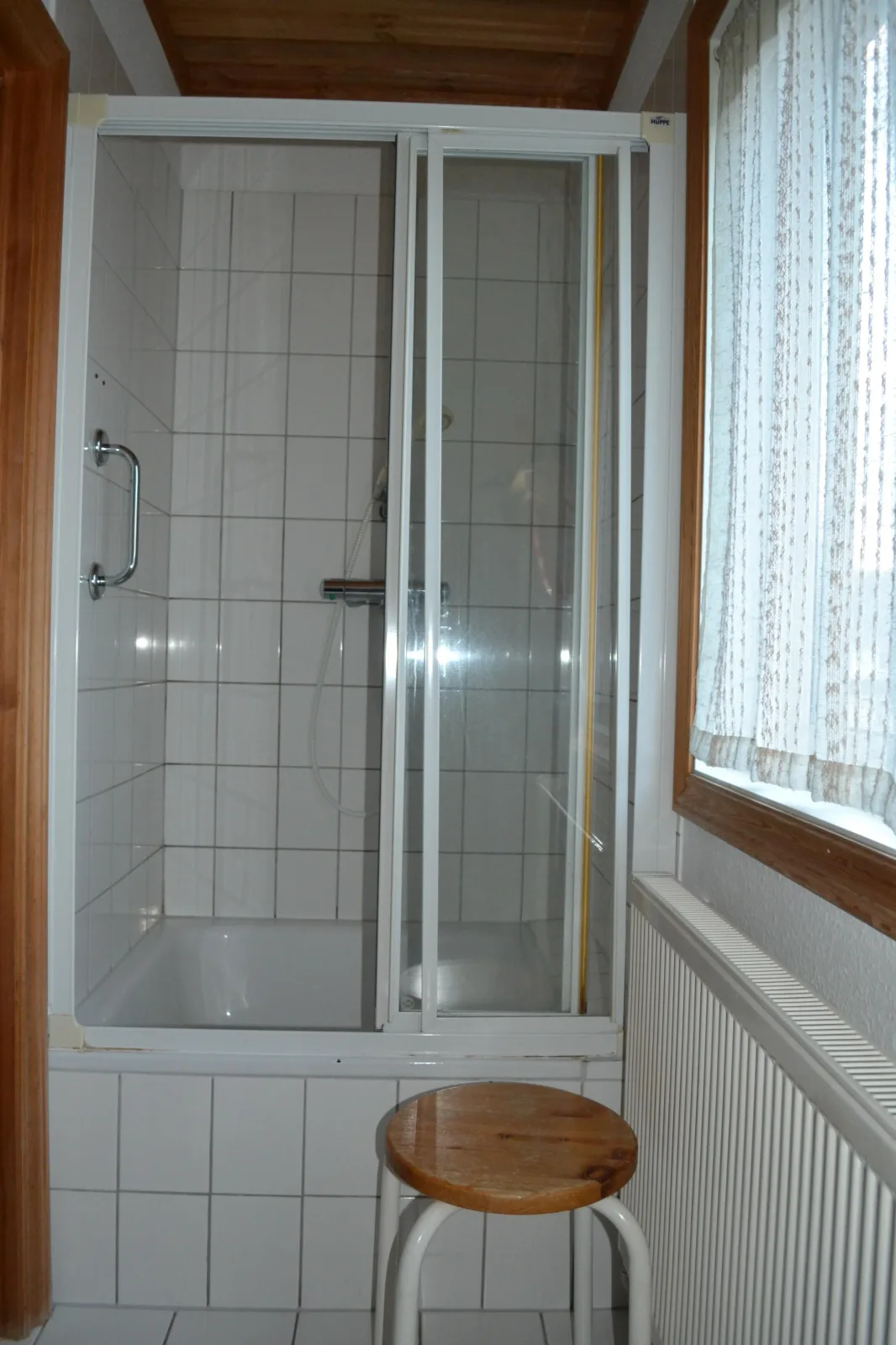 Zaunkönig 2