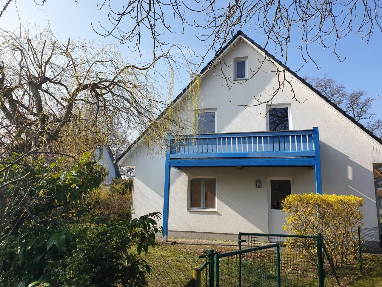 Blaumeise