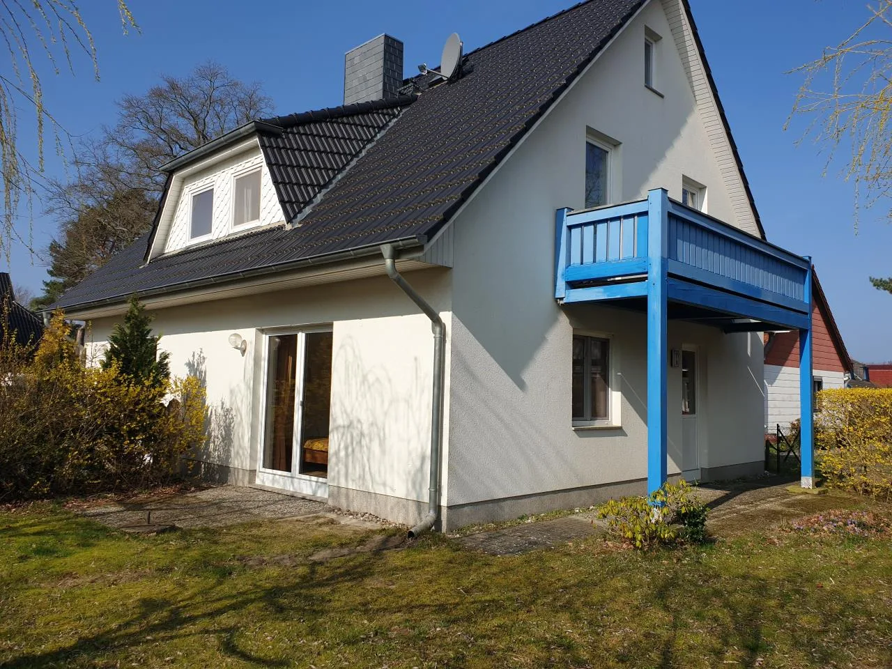 Blaumeise