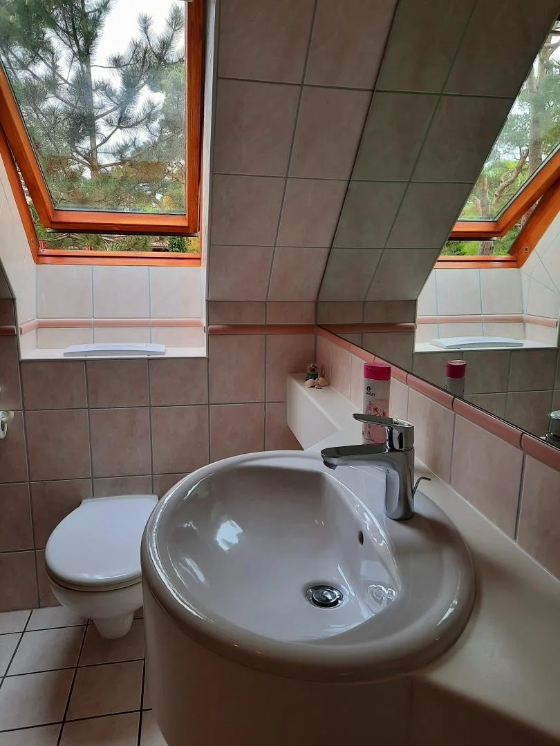 Windfang 11/5