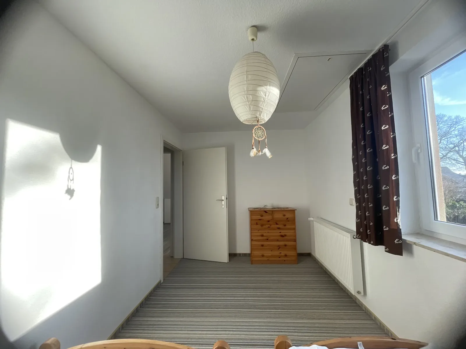 Kohlmeise