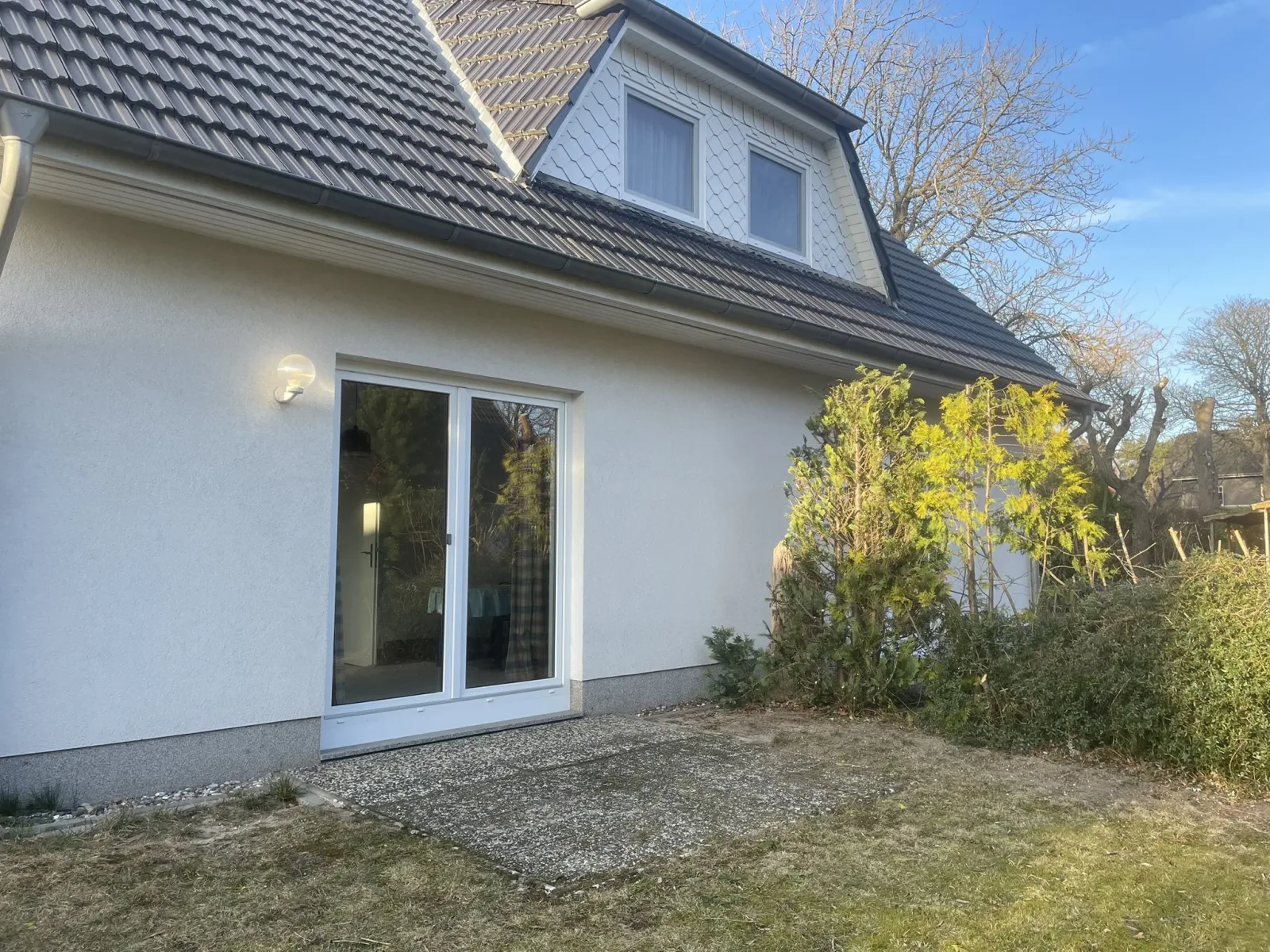 Kohlmeise