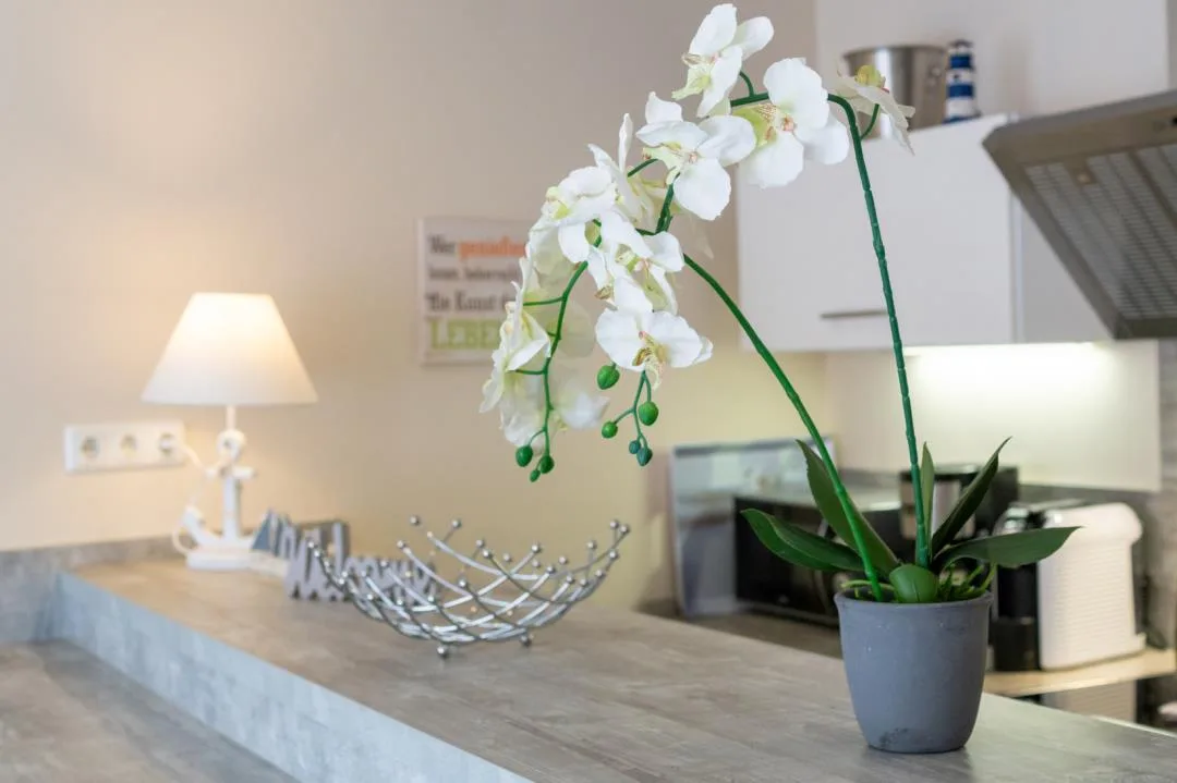 Ferienwohnung Duenenträumchen