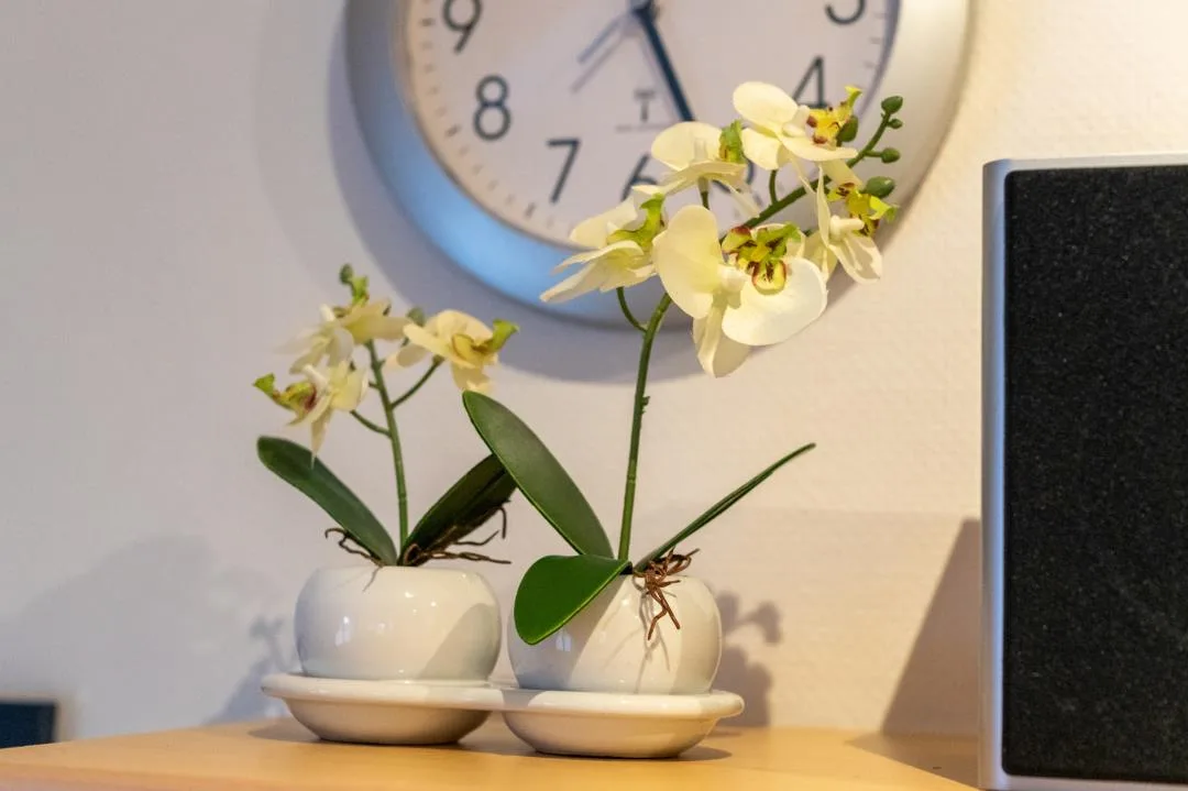 Ferienwohnung Wattlooper