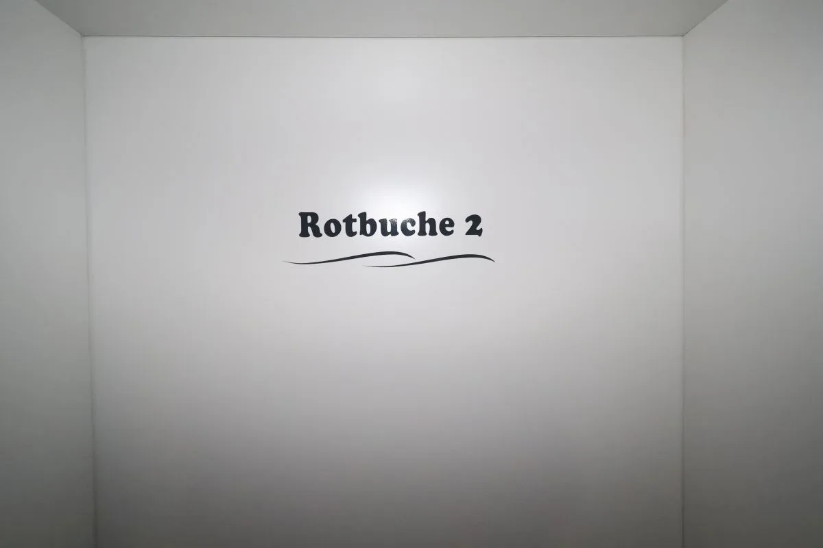 Ferienwohnung Rotbuche 2