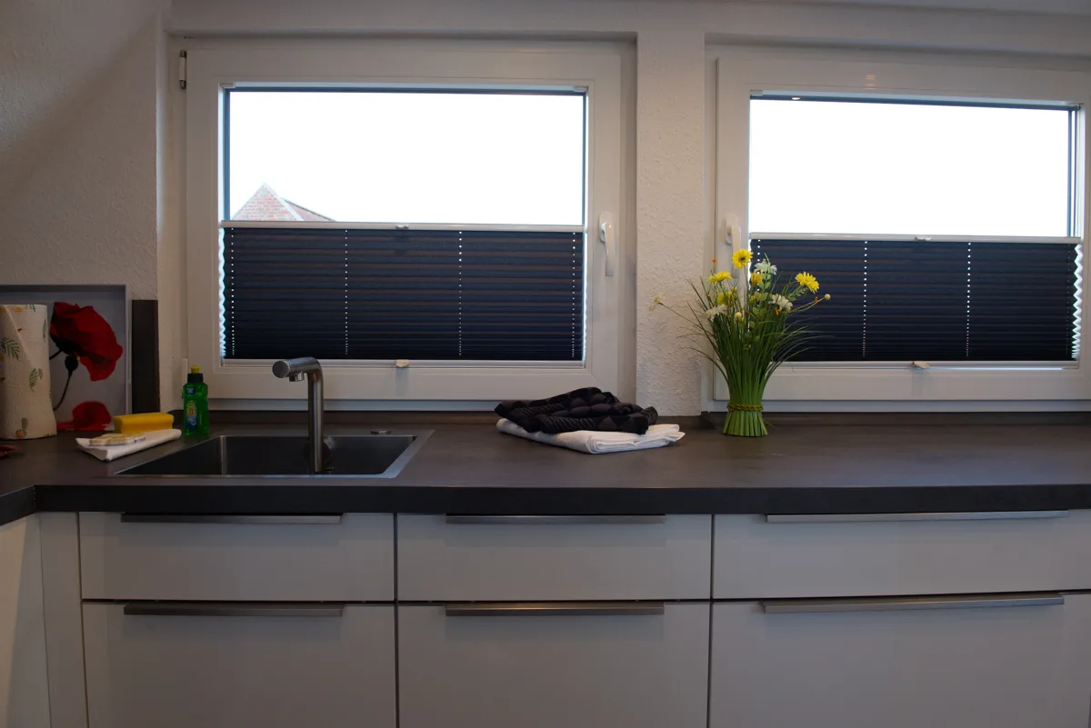 Ferienwohnung Deichnähe - H