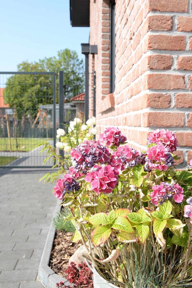 Ferienwohnung Deichdeck 3 UL