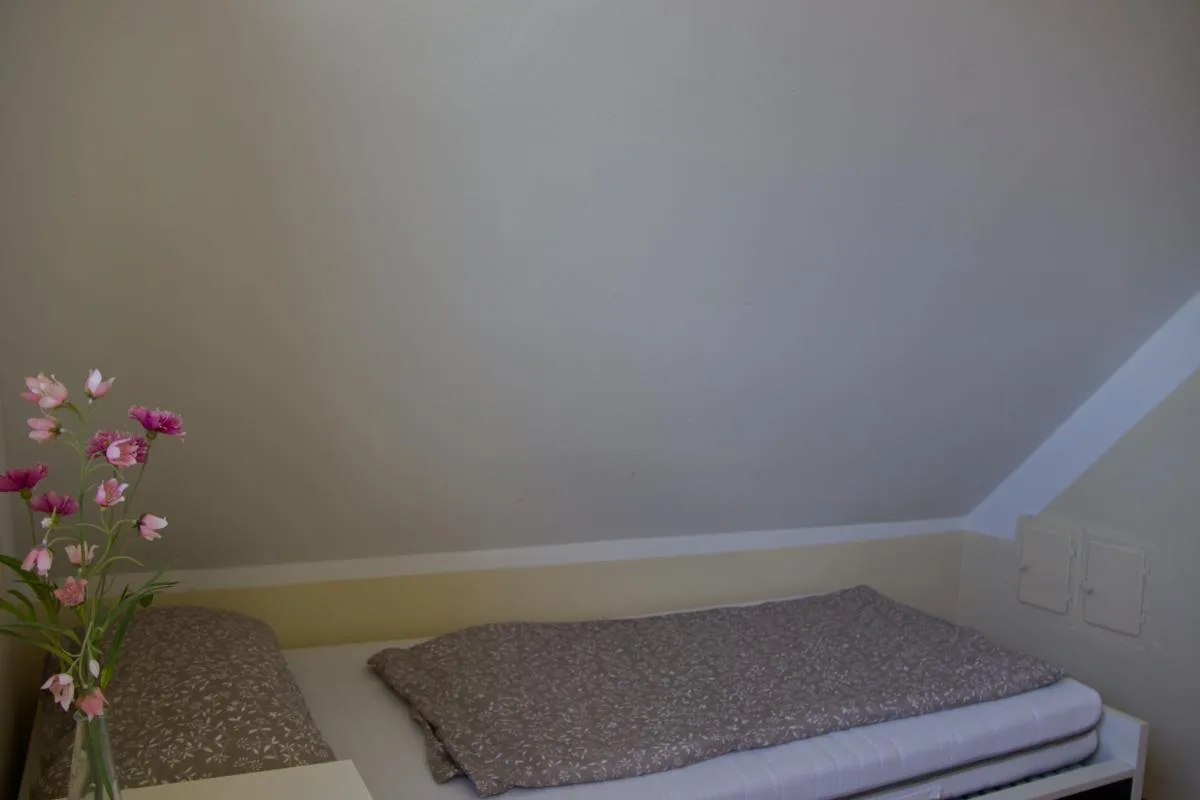 Inselblume 07 - Ferienwohnung mit Hund an der Reiterkoppel