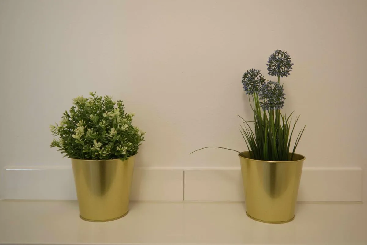 Inselblume 46 - Ferienwohnung in Burg mit Balkon und viel Licht