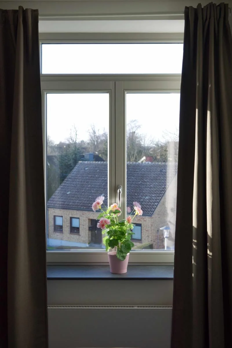 Inselblume 46 - Ferienwohnung in Burg mit Balkon und viel Licht