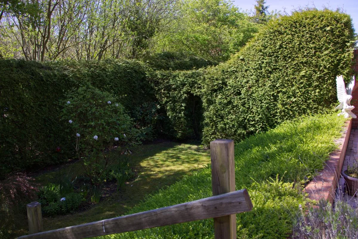 Inselblume 68 - Ferienwohnung bei Burgstaaken auf Fehmarn