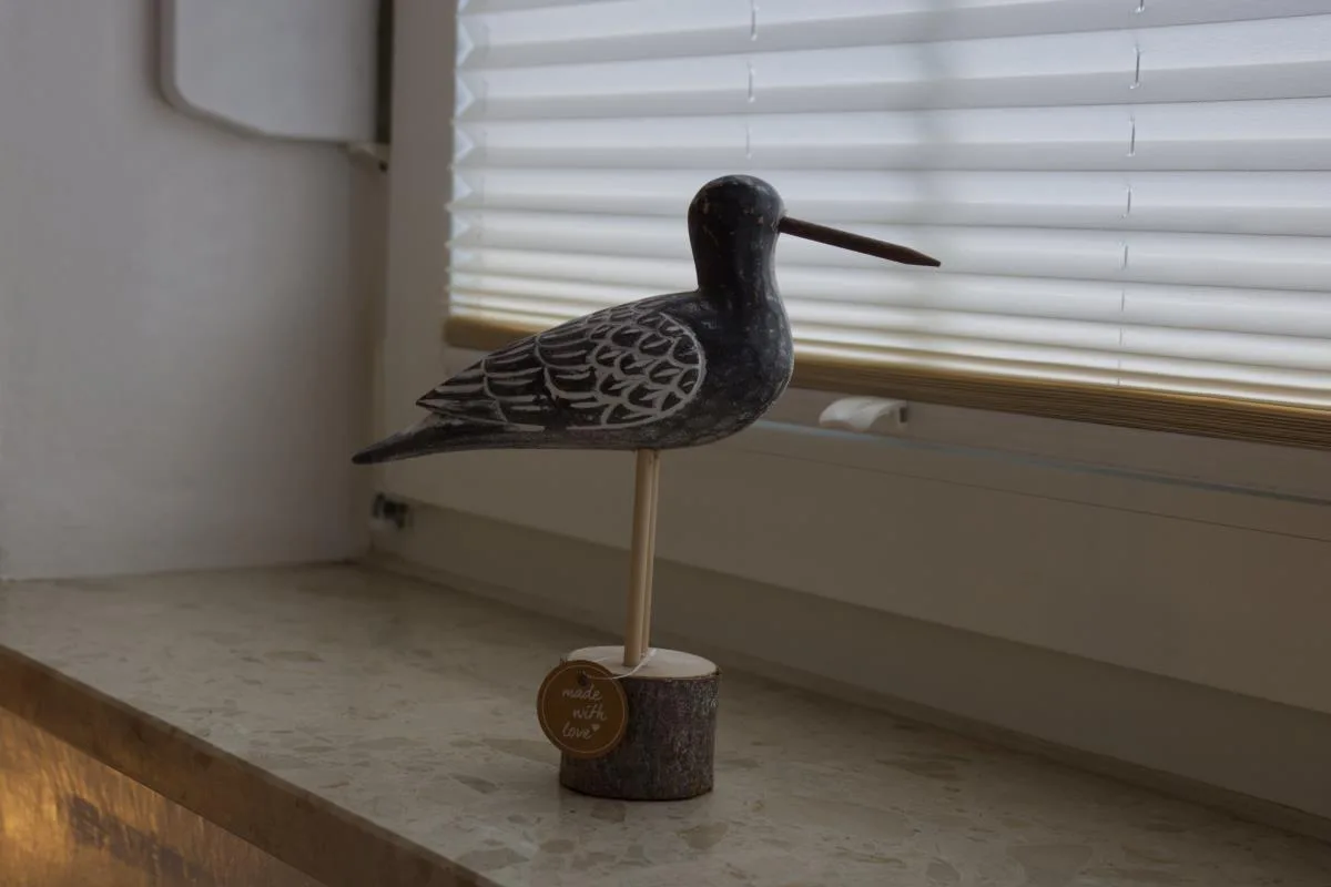 Inselblume 25 - Ferienwohnung von Privat in Meeschendorf