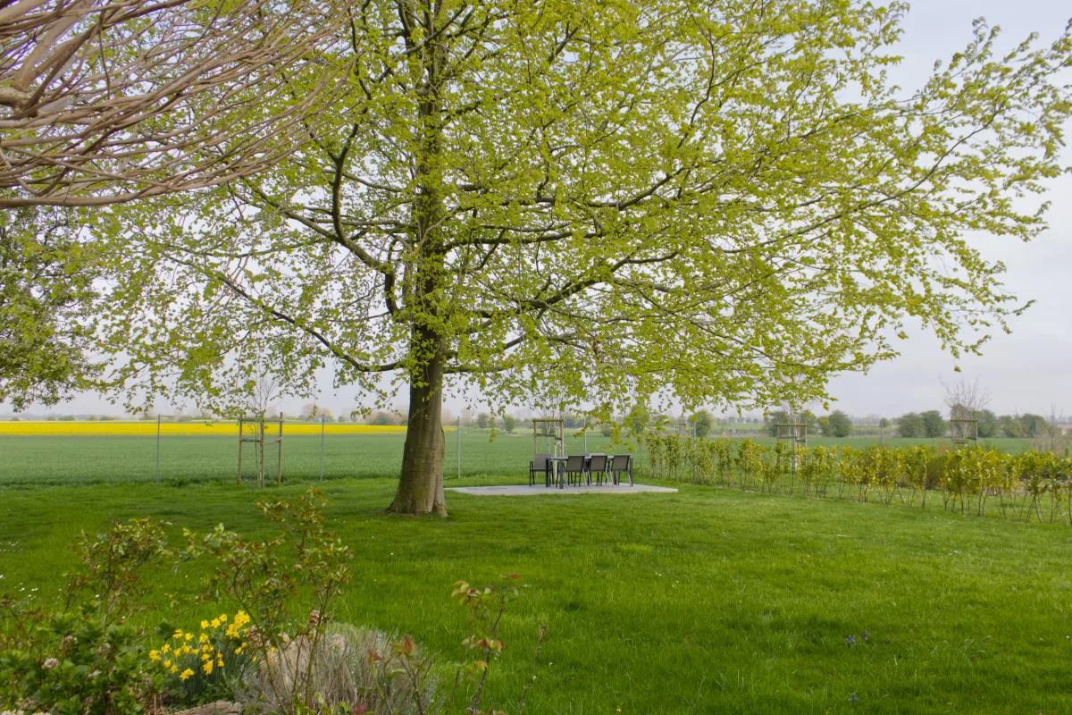 Inselblume 36 - Schöne Ferienwohnung in Neue Tiefe
