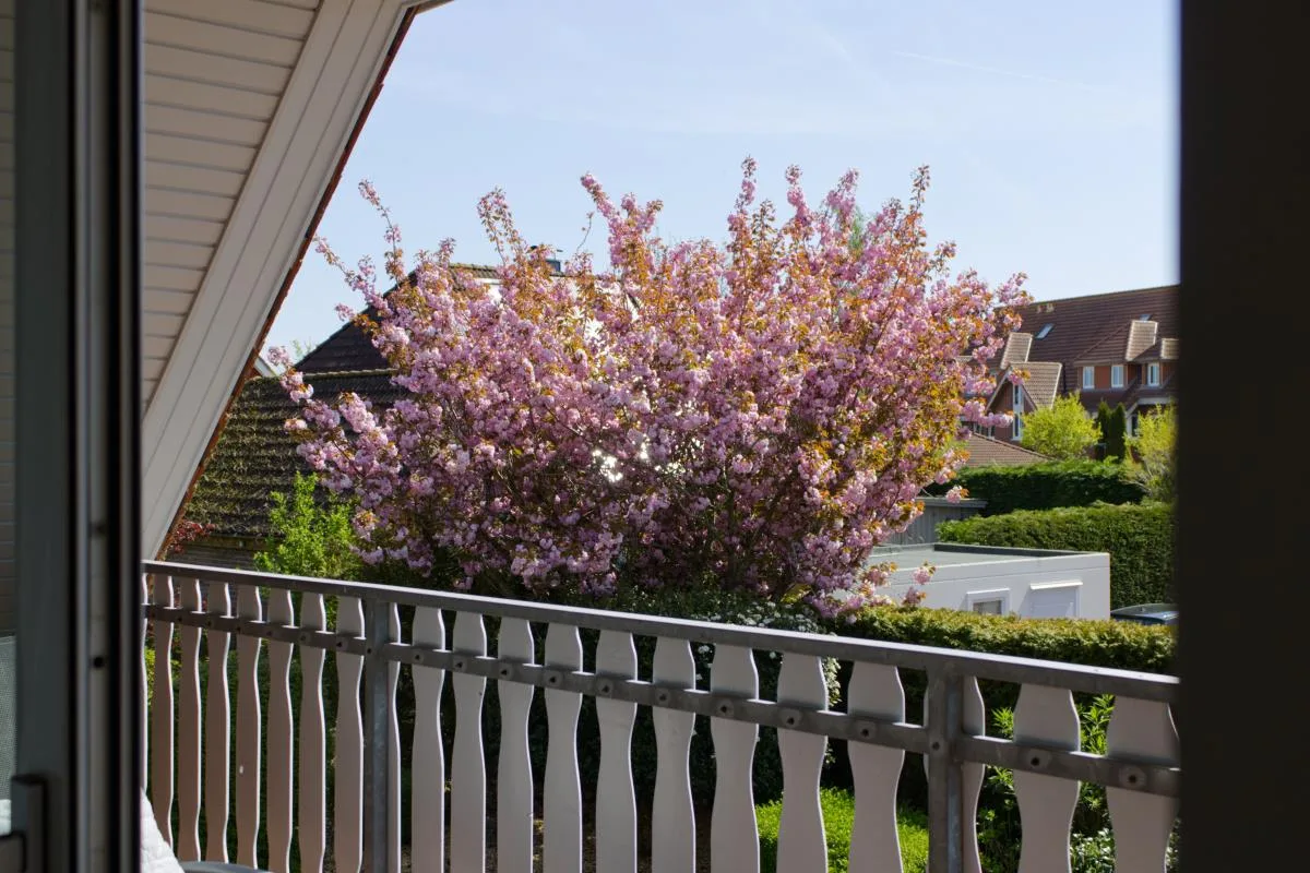 Inselblume 34 - Ferienwohnung "Ankerplatz" im Passatweg