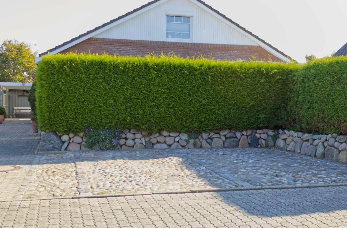 Inselblume 38 - Zentrale Ferienwohnung in Burg mit Garten