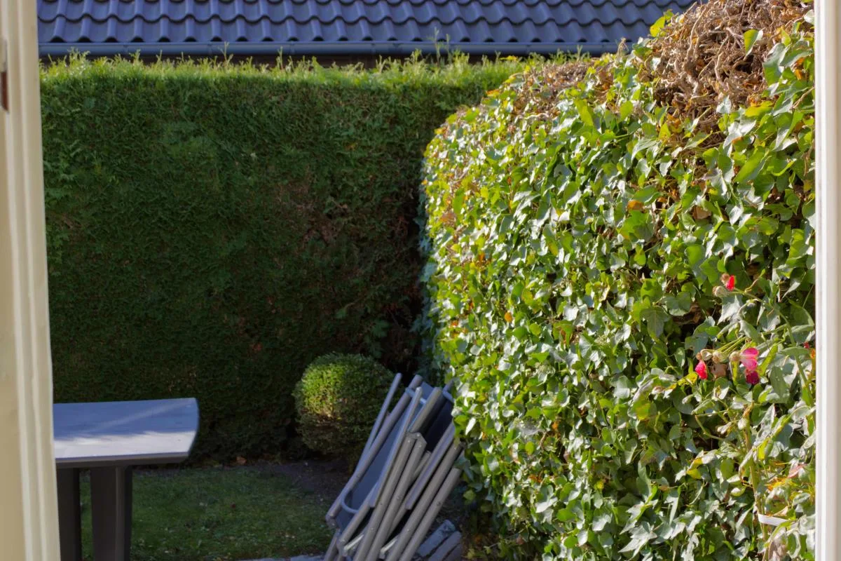 Inselblume 38 - Zentrale Ferienwohnung in Burg mit Garten