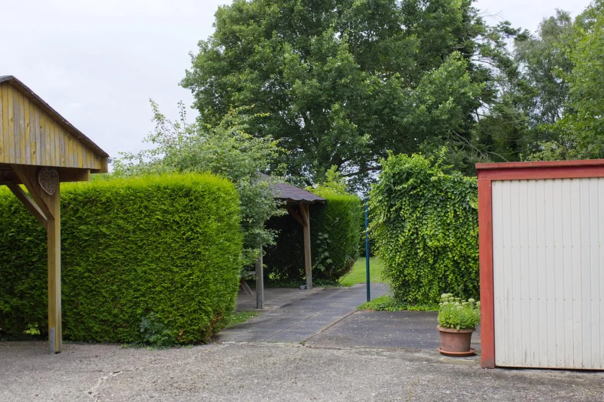 Inselblume 40 - Ferienhaus mit Garten in Dänschendorf