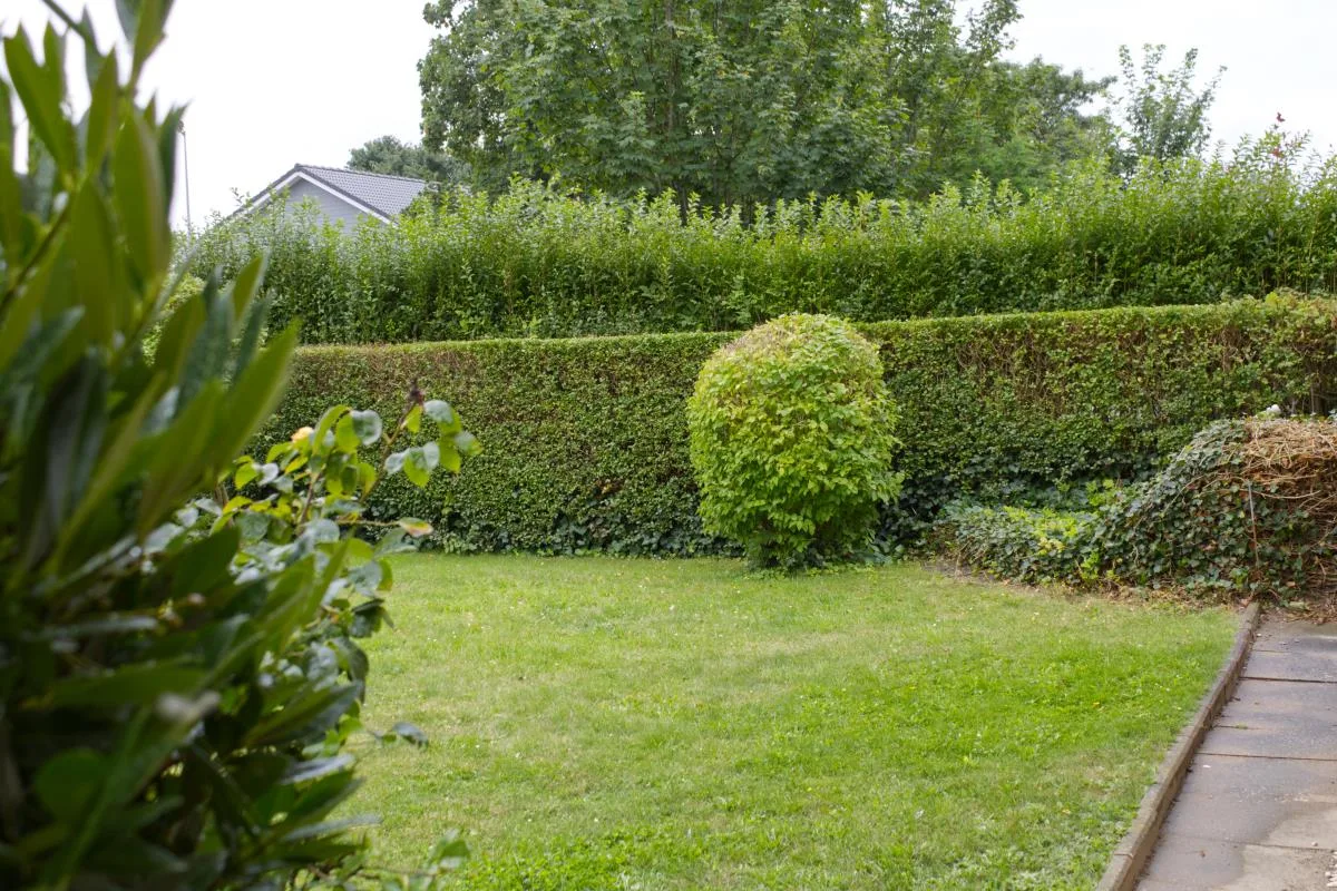 Inselblume 40 - Ferienhaus mit Garten in Dänschendorf