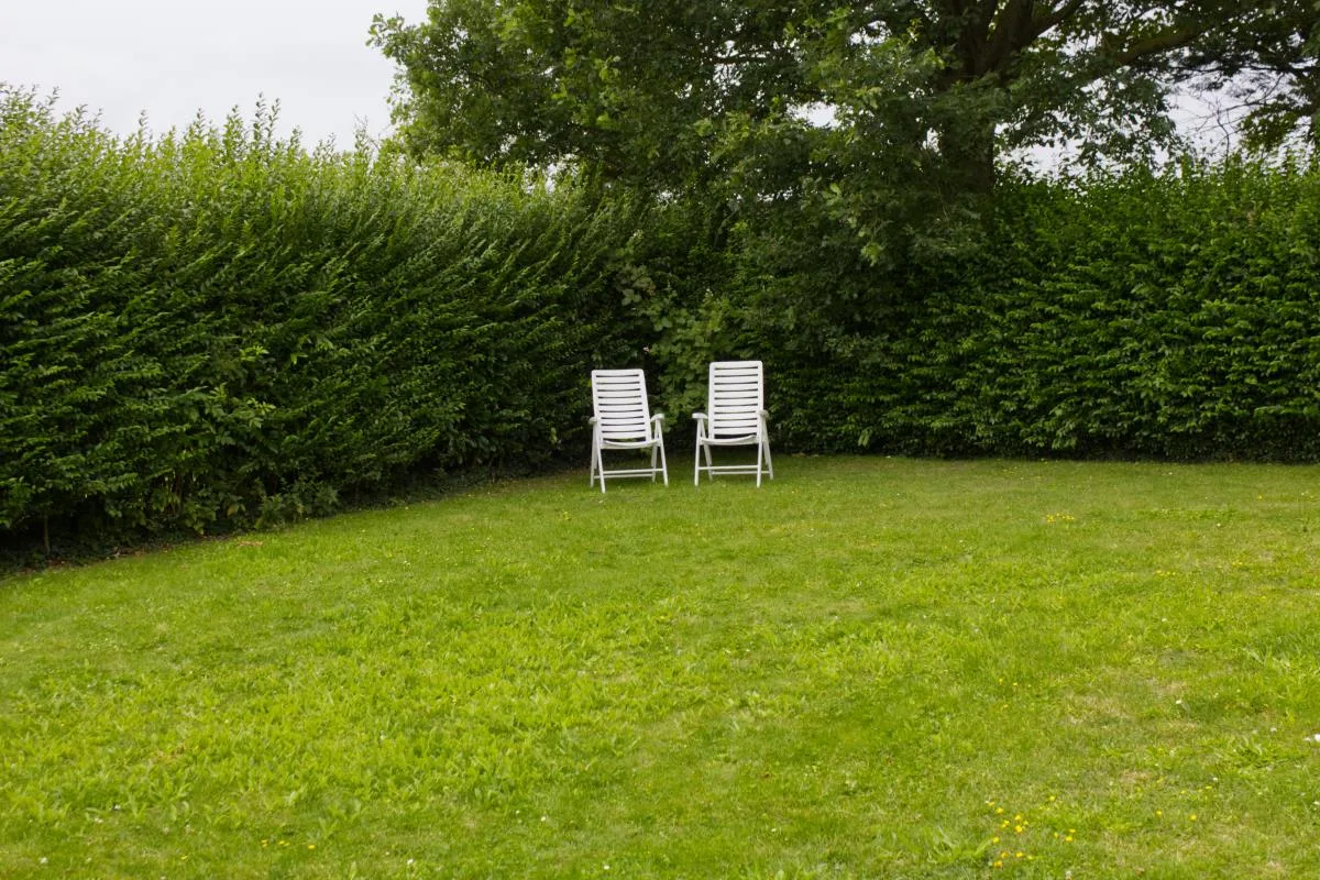 Inselblume 40 - Ferienhaus mit Garten in Dänschendorf