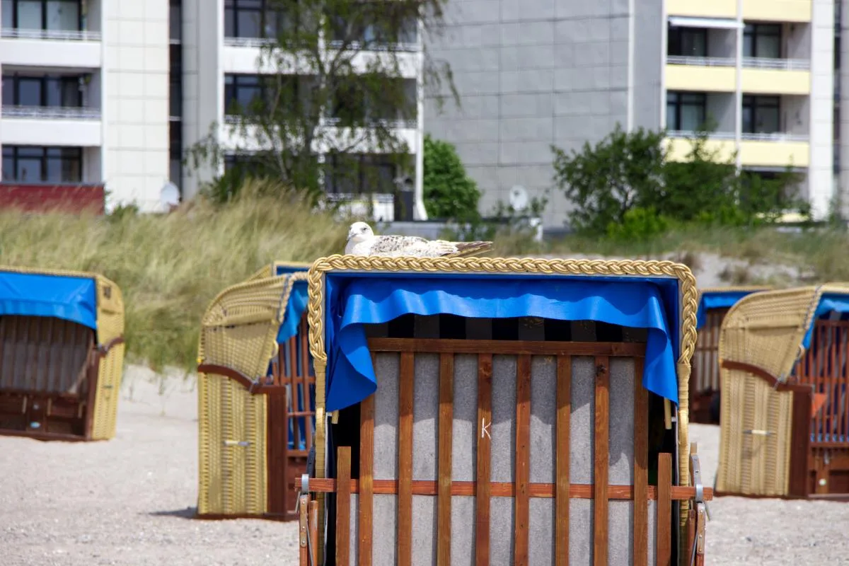 Inselblume 87 - Bungalow im Dünenweg am Meer auf Fehmarn
