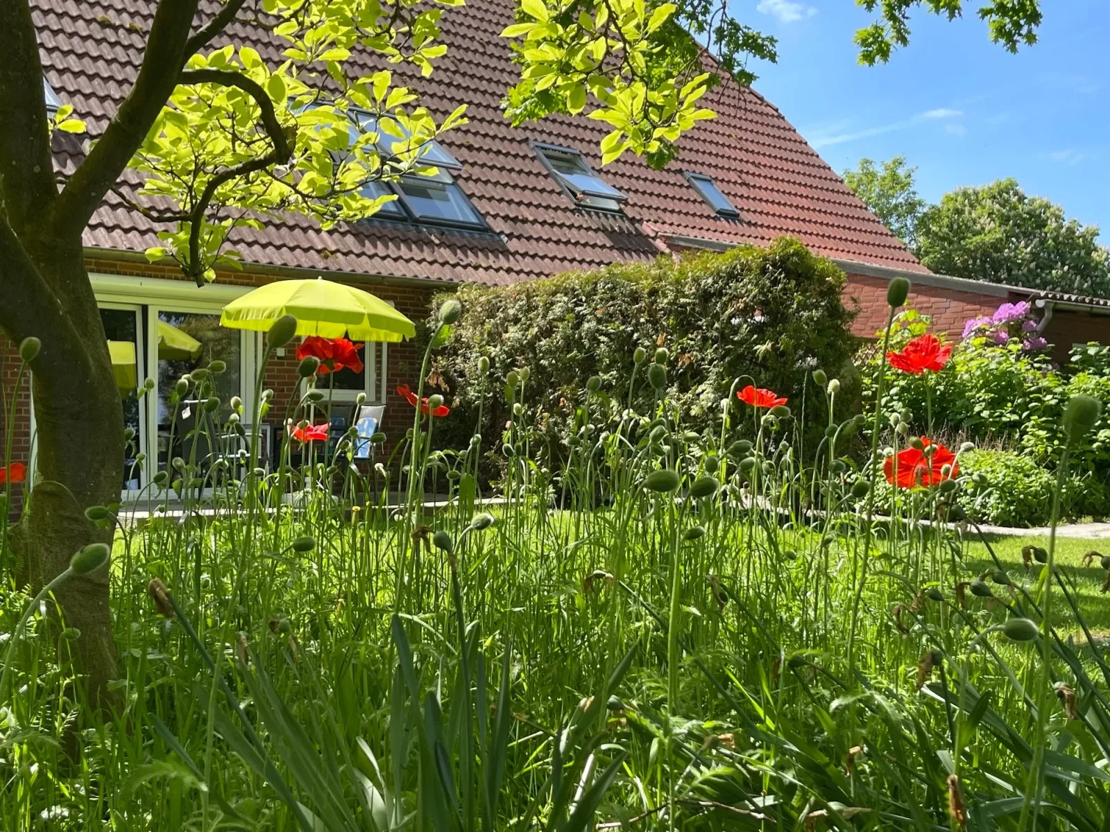 wattenmeer-ferien  Ferienwohnung 1 EG  in Butjadingen