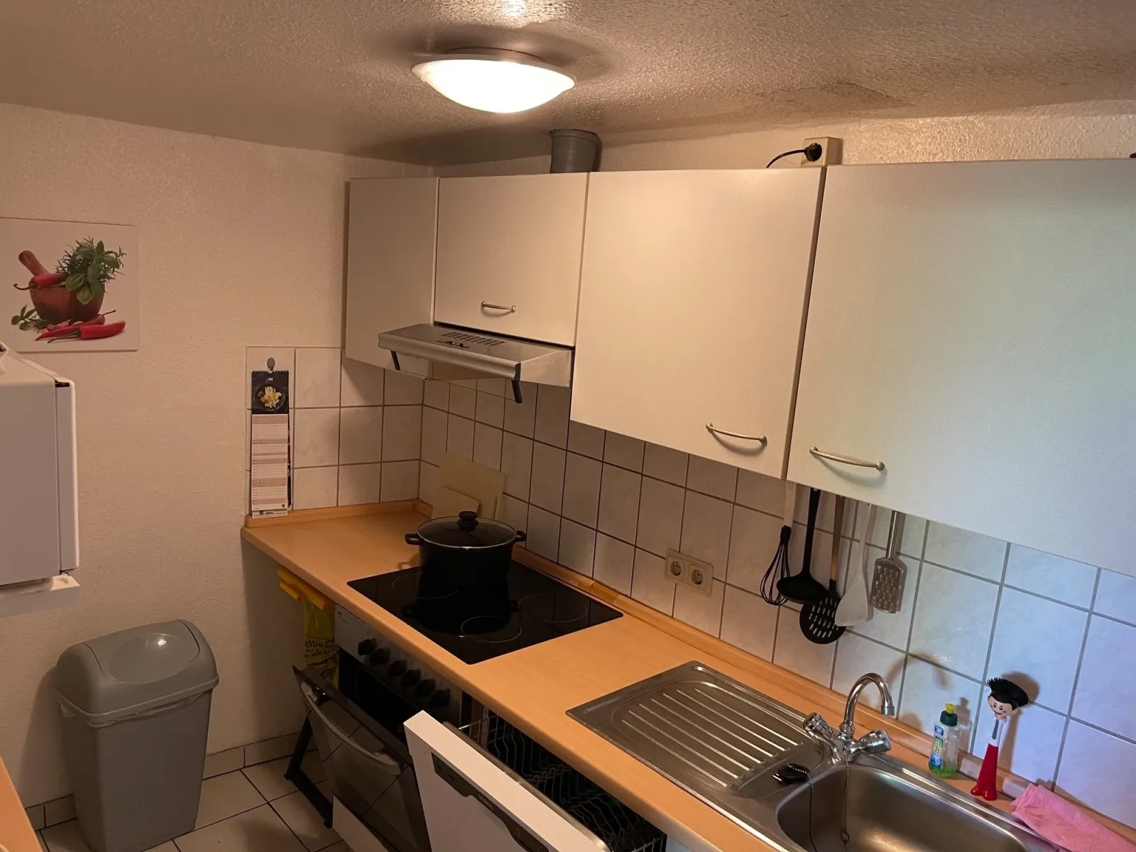 wattenmeer-ferien  Ferienwohnung 1 EG  in Butjadingen
