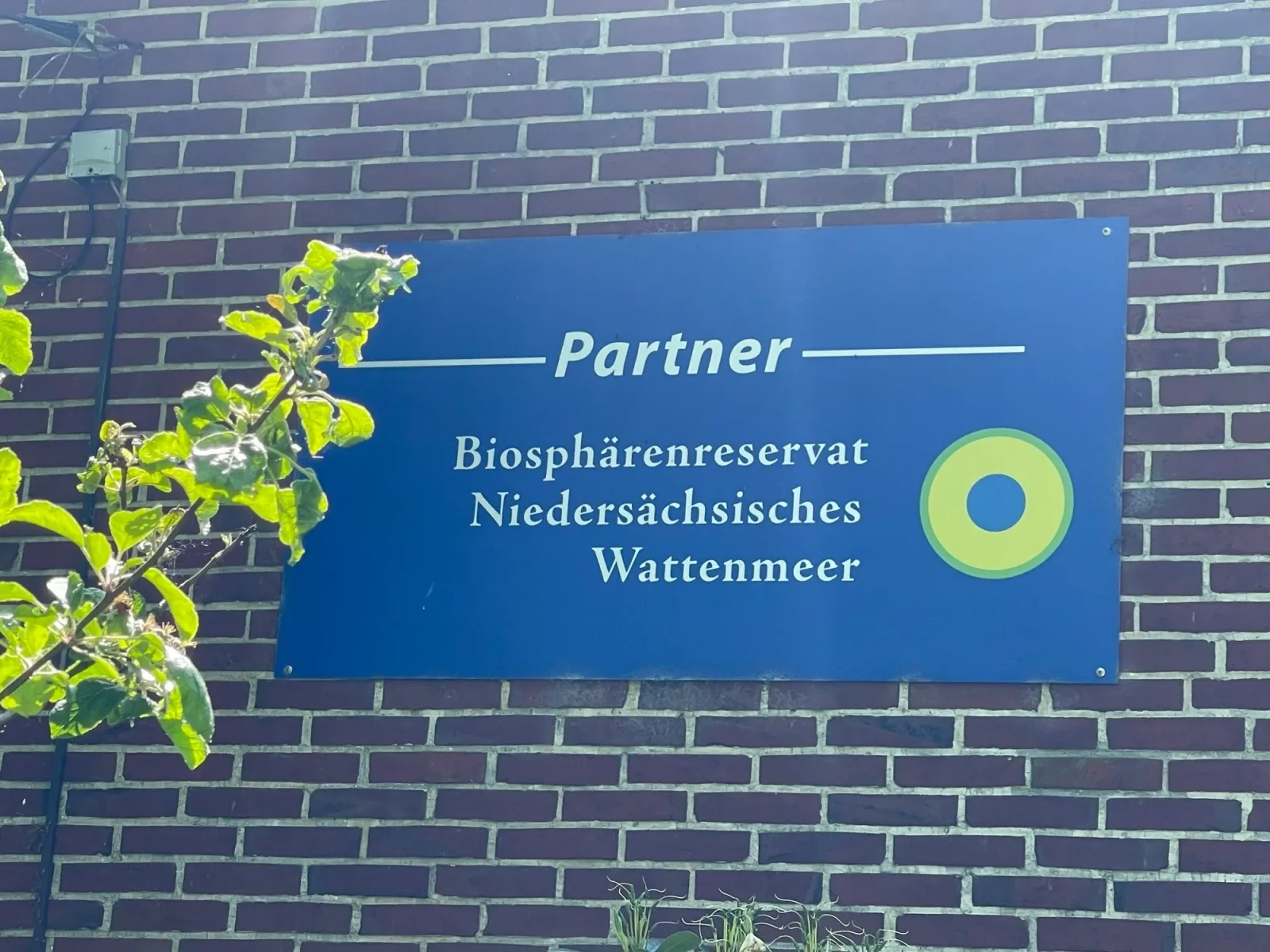 wattenmeer-ferien  Ferienwohnung 1 EG  in Butjadingen