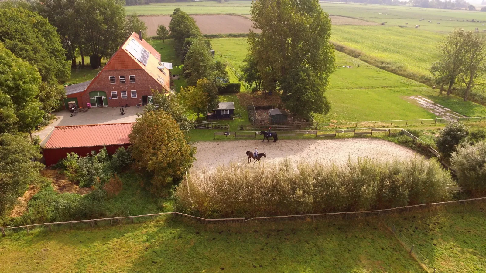 wattenmeer-ferien Ferienwohnung 2 OG  in Butjadingen