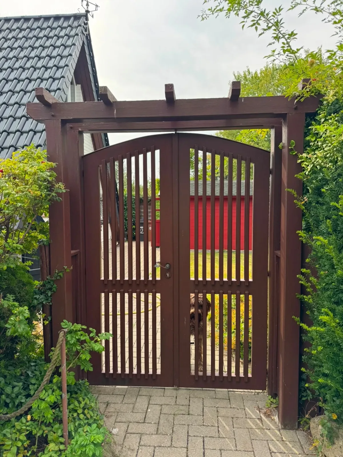 Eulennest