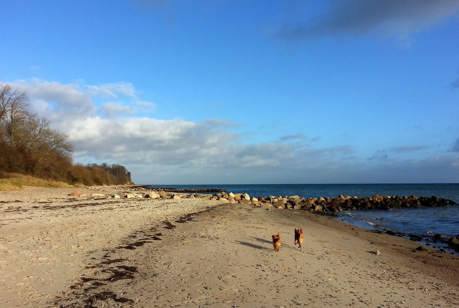 Strandlodge 1