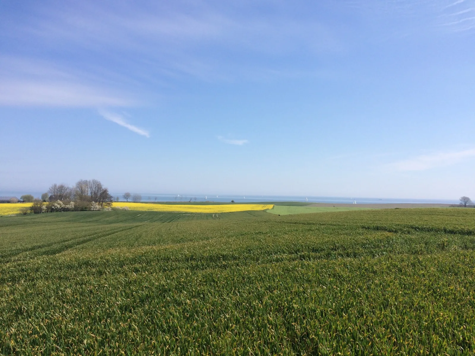 FeWo Dünung