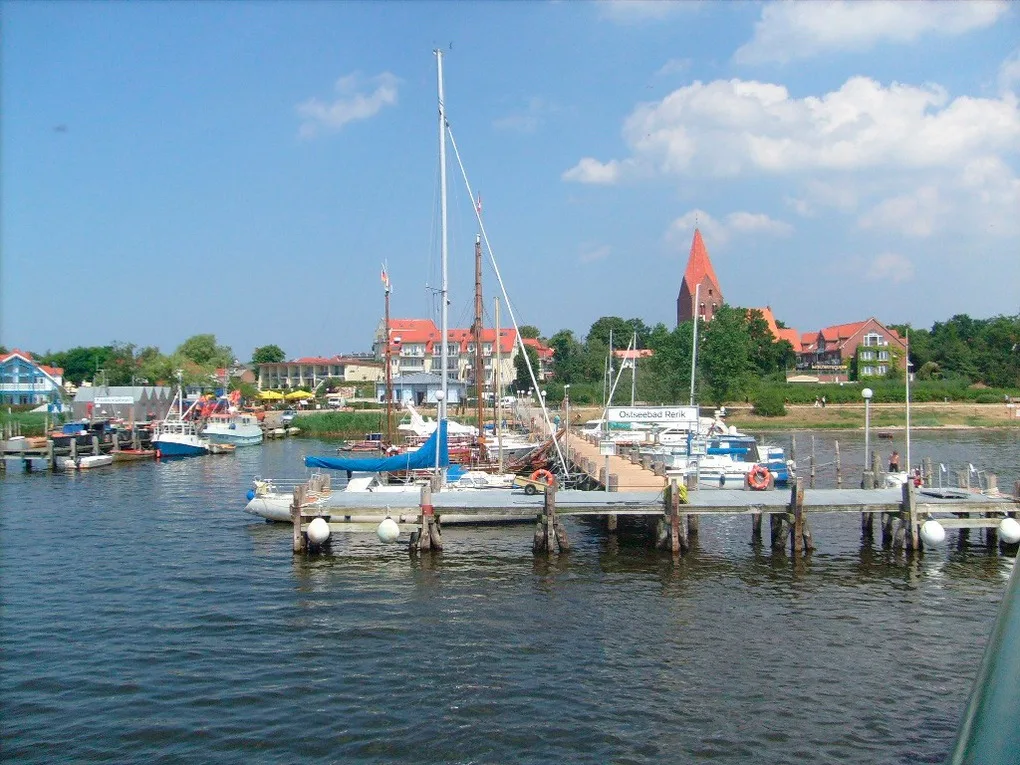 Strandläufer in der Villa Rosita