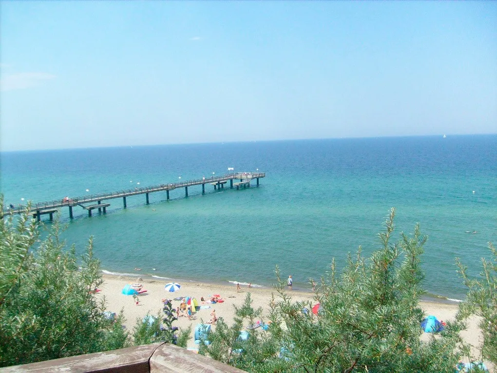 Strandläufer in der Villa Rosita