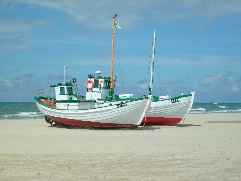 Strandläufer in der Villa Rosita