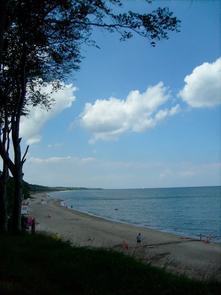 Strandläufer in der Villa Rosita