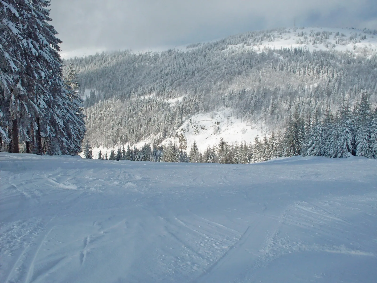 Feldbergblick  App. 21