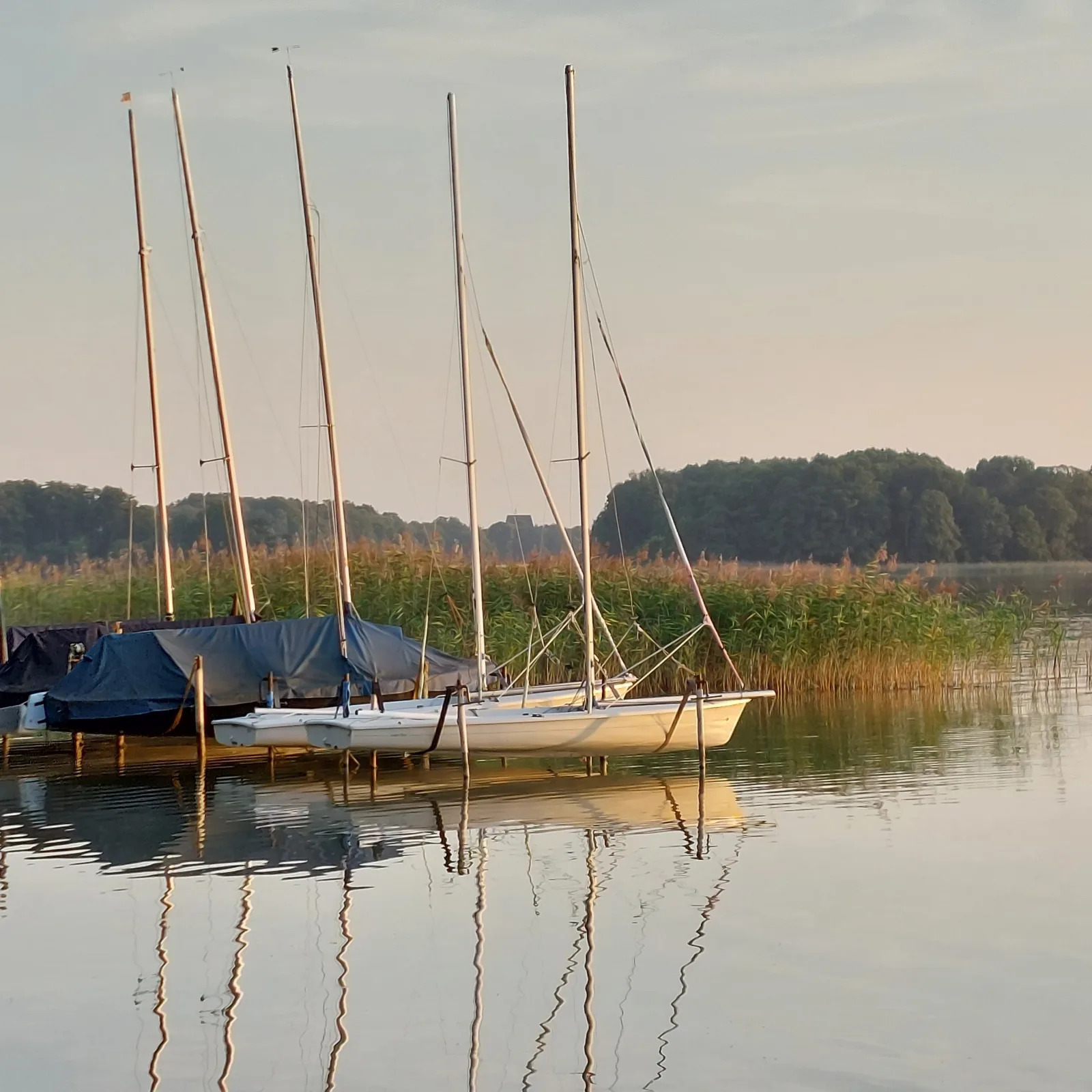 Haus Vogelsang am See