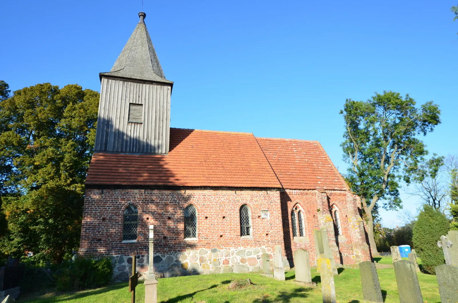 Dünenrose