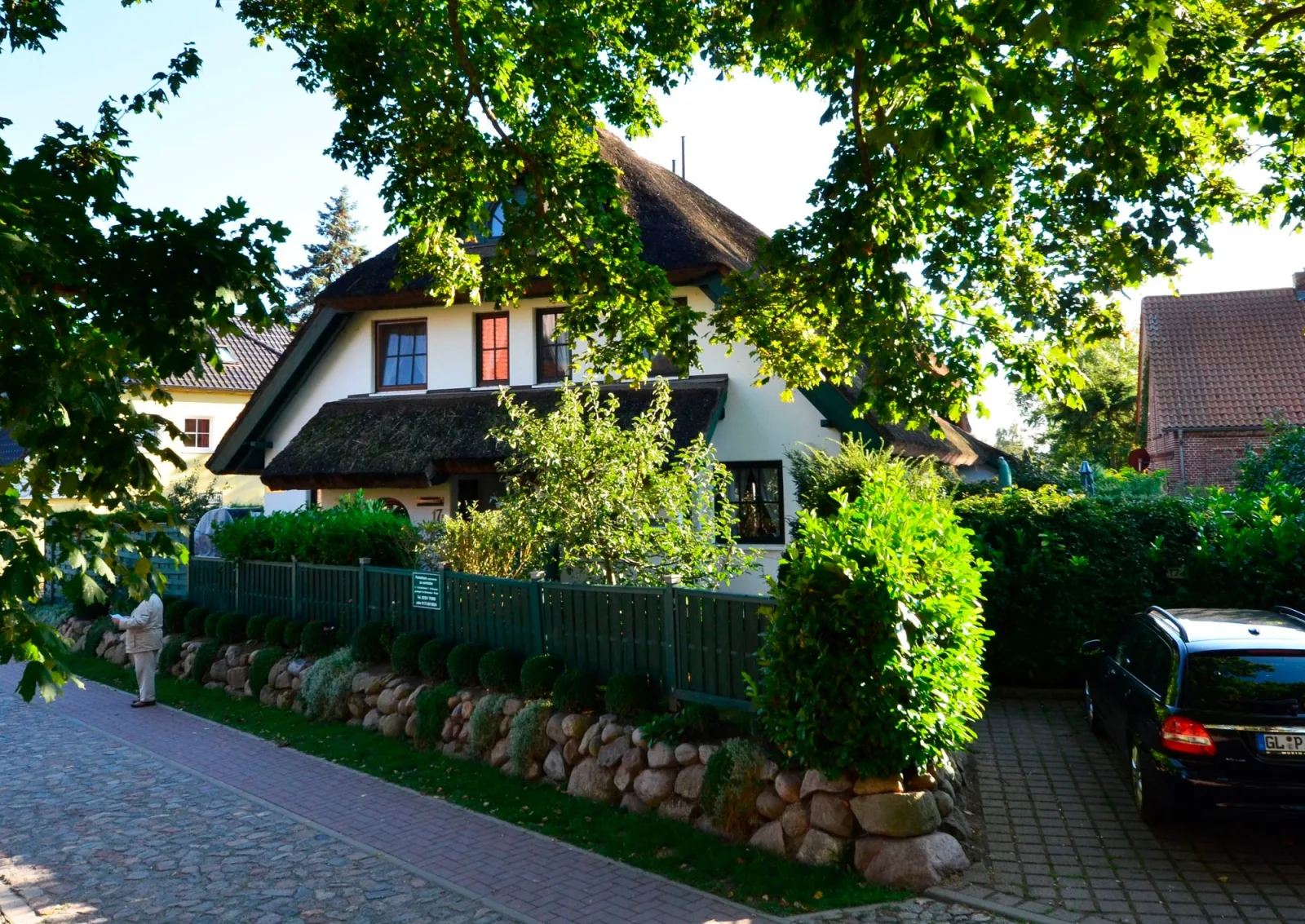 Dünenrose