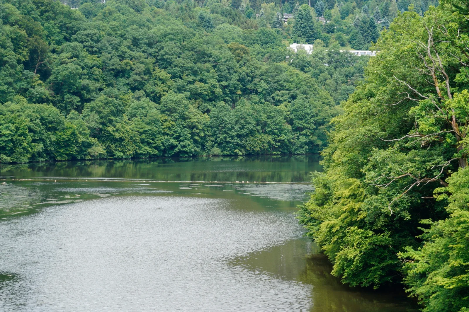 Ferienhaus Stausee Bitburg