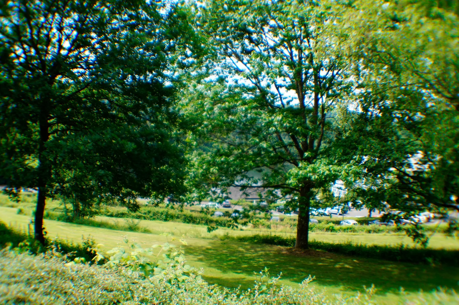 Ferienhaus Stausee Bitburg