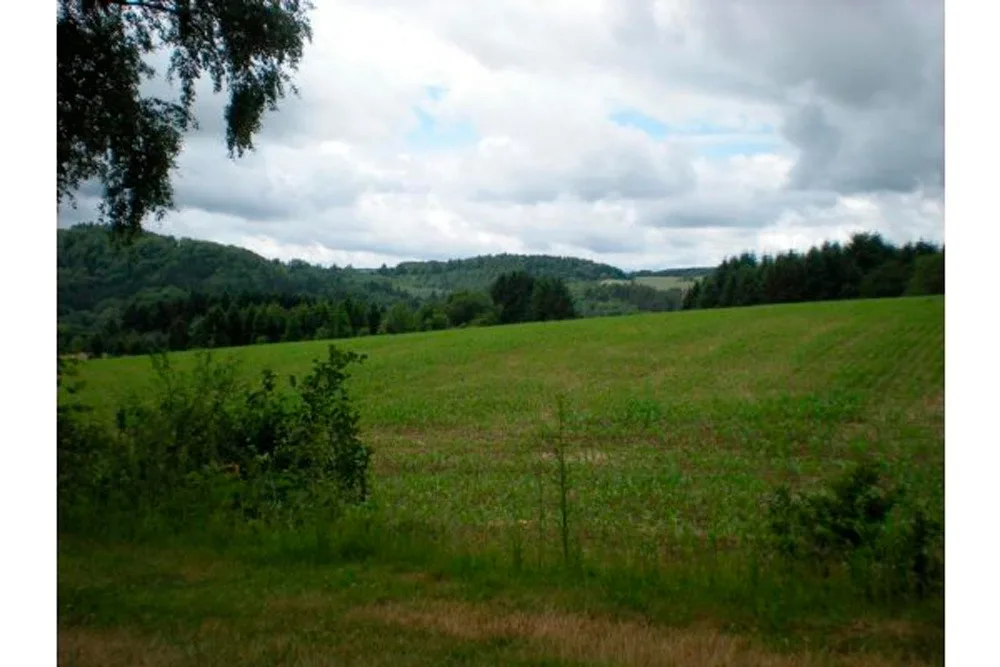 Eifelblick über dem See