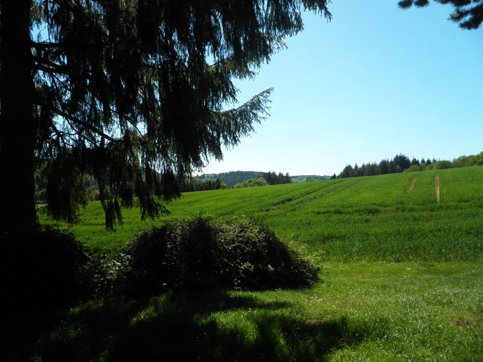 Landhaus 921