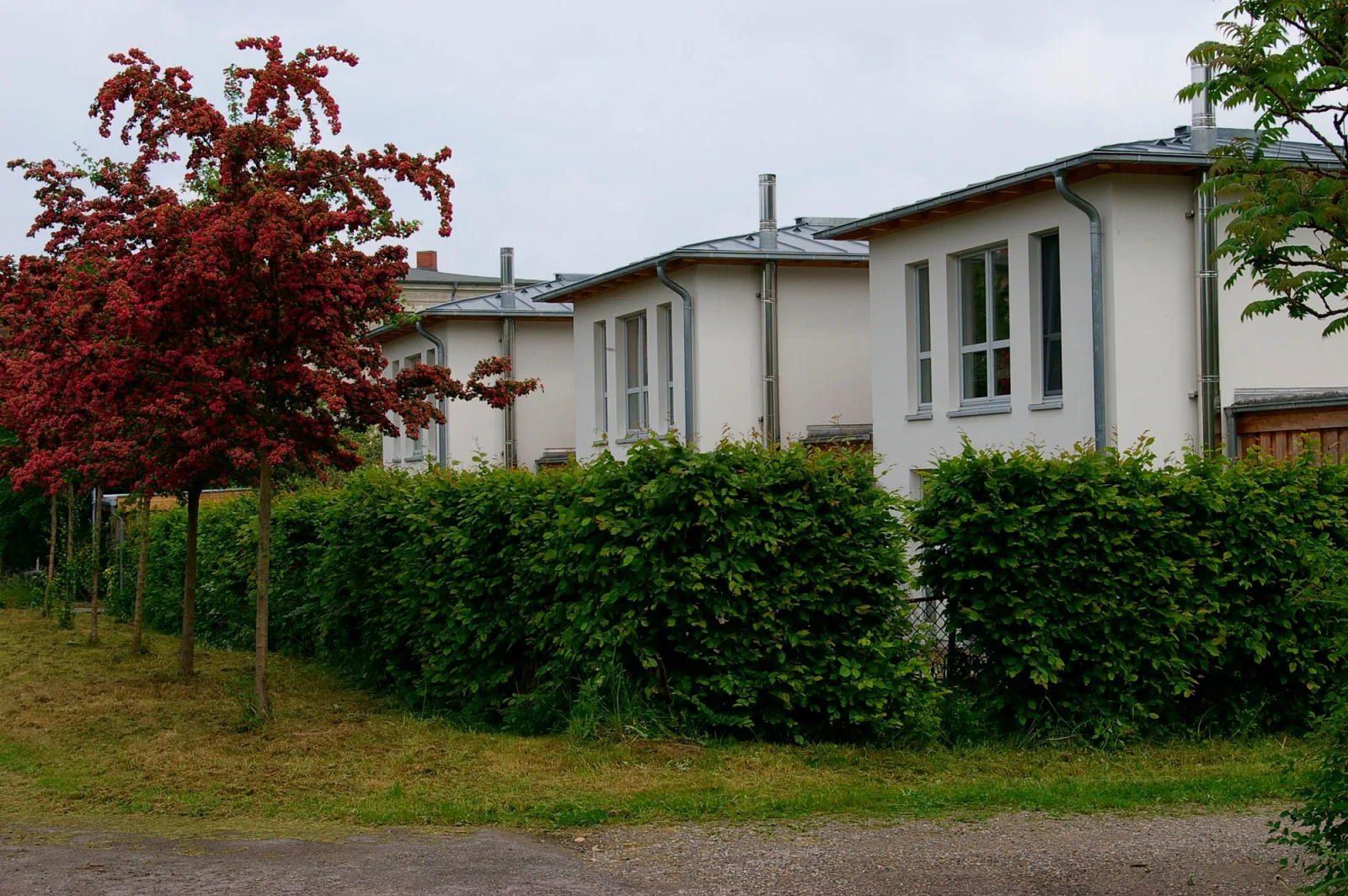 Ferienhaus in Heiligendamm mit Sauna & Kamin
